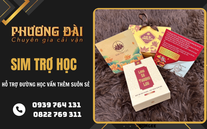 sim trợ học