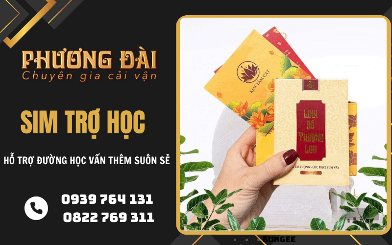 sim trợ học