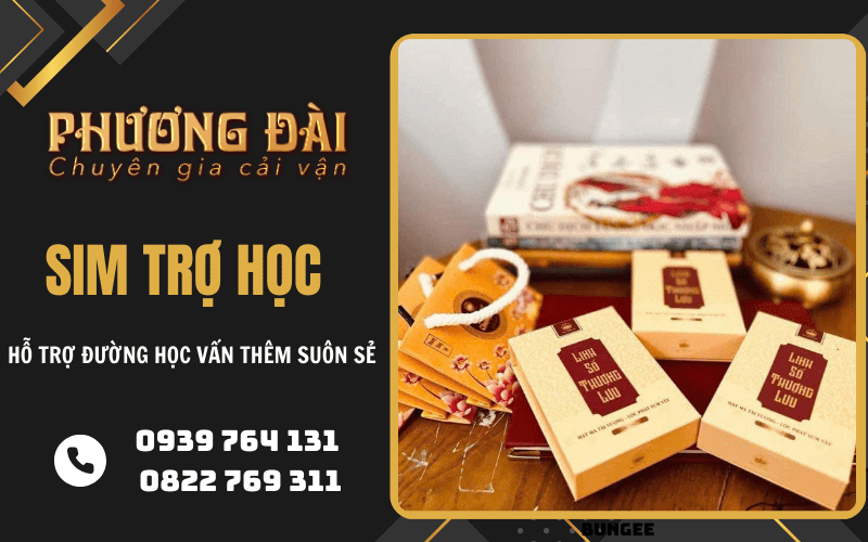 sim trợ học