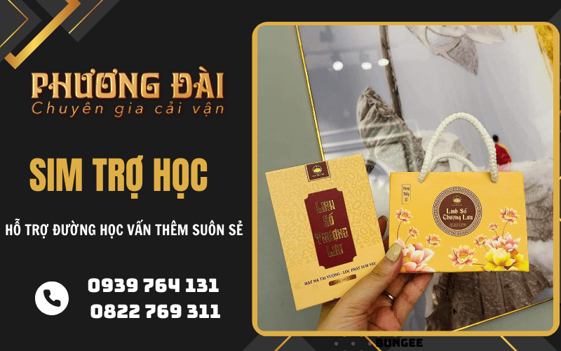 sim trợ học