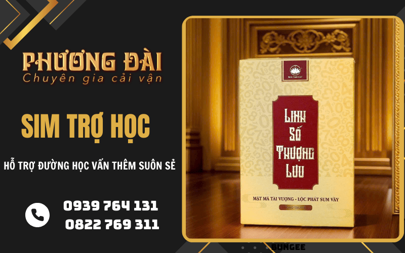 sim trợ học