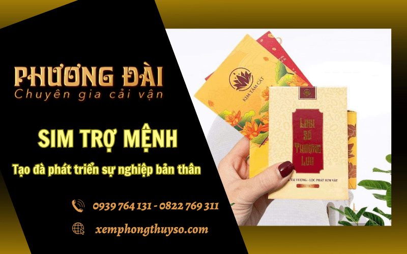 Sim trợ mệnh