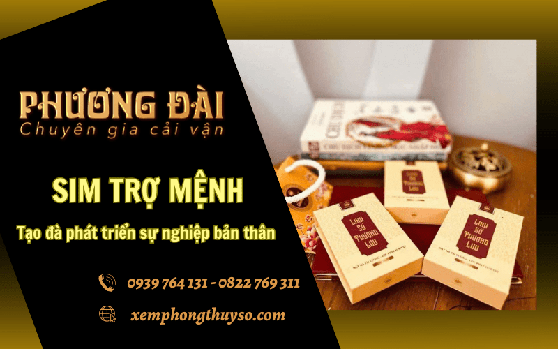 Sim trợ mệnh