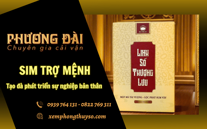 Sim trợ mệnh