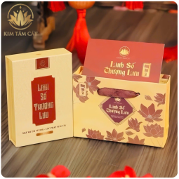 Thiết kế sim phong thủy