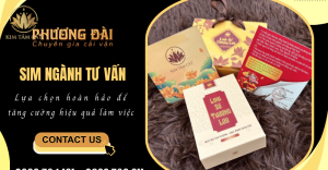 Sim ngành tư vấn - Lựa chọn hoàn hảo để tăng cường hiệu quả làm việc 