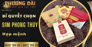 Bí quyết chọn sim phong thủy hợp mệnh để đạt được thành công và may mắn