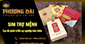 Tạo đà phát triển sự nghiệp bản thân cùng các mẫu sim trợ mệnh đẹp